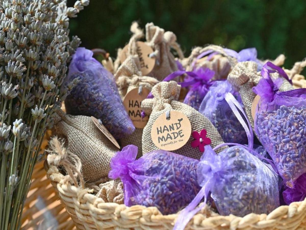 Lavanda Land - Villa Tanya Mreznica Donji Zvecaj Exterior foto